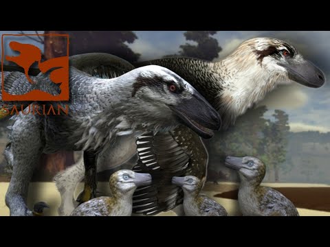 BABY RAPTOR FLOOFS! 【SAURIAN】