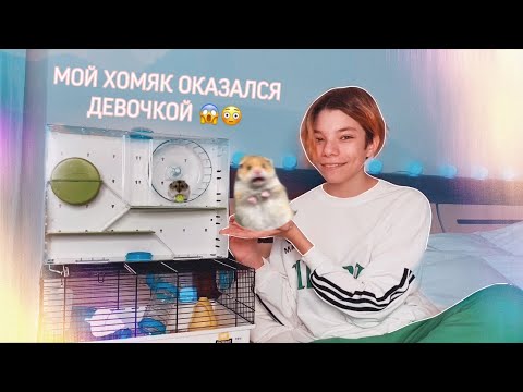 ХОМКА-ТУР 🤡 ОН КАНИБАЛ 😳