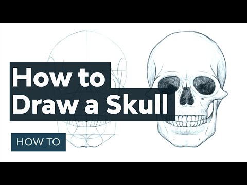 Photoshop for Beginners FREE COURSE