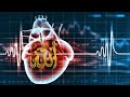 Zikr Allah Heart Touching Relaxing Zikr 40 Minutes Zikrallahhearttouching Relaxingzikr