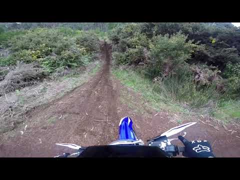 Sherco 300 SE Factory 2021