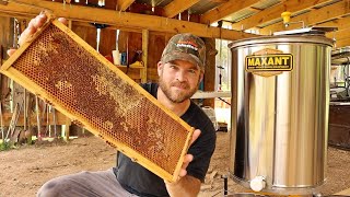 Harvesting 72 Pounds of Pure Honey