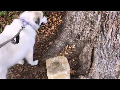 Three States marker: Why is Texarkana called that? Texas, Arkansas and Louisiana at the same time.