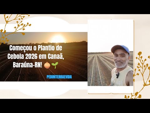 🌱 Começou o Plantio de Cebola na Roça! 🧅 Canaã, Baraúna – Rio Grande do Norte