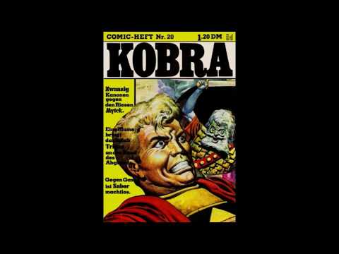 KOBRA: Jahr 1