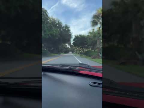 1984 Ferrari 308 GTS (CC-2013526) for sale in Ponte Vedra Beach , Florida