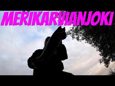 Merikarvianjoki | Kirjolohta&haukea | Kalastus
