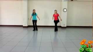 Honky Tonk Healin&#39; - Line Dance ( Rene and Reg Mileham )