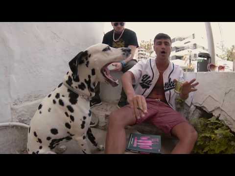 Petit Ribery - Vacilon ( VIDEOCLIP )