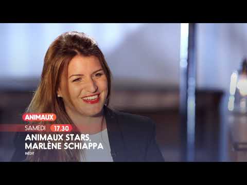Bande annonce Animaux Stars (invitée Marlène Schiappa)