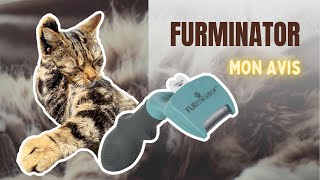 Le Furminator : Bonne ou mauvaise brosse ?