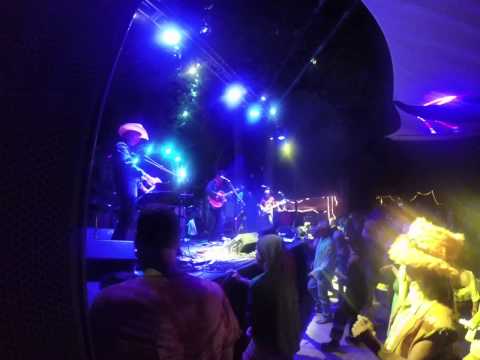 Lebo and Friends live at Guitar Fish 2015 - Grateful Dead Jam
