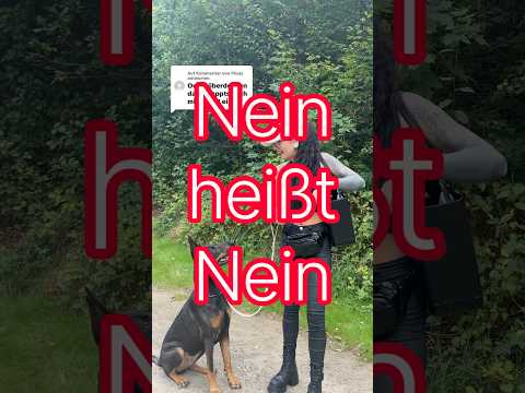Nein = Nein