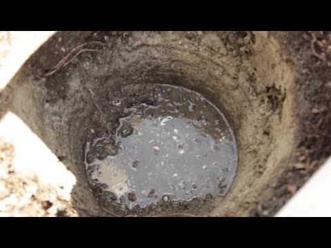 How to Use a Green Cone Food Digester