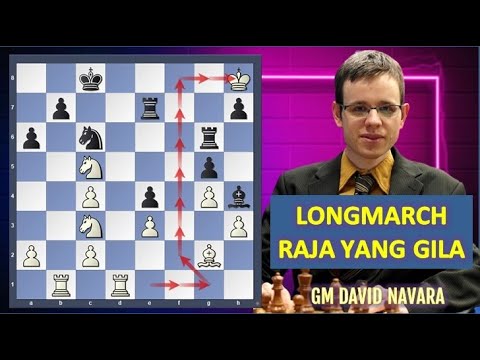The King of Wandering, Wandering Far, But Winning!!! | David Navara vs. Radoslaw Wojtaszek