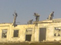Manora Bilding Demoltion