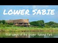 LOWER SABIE Rest Camp Review | Kruger National Park Accommodation #1