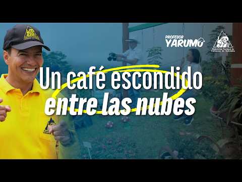 LAS AVENTURAS DEL PROFESOR YARUMO: UN CAFÉ ESCONDIDO ENTRE LAS NUBES