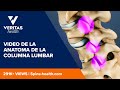 Video de la anatomia de la columna lumbar