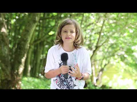 Buletin Meteo din Tabara TV - Andrei Craciun