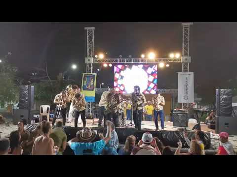 No me maten de Dolcey Gutiérrez - Papayebrass