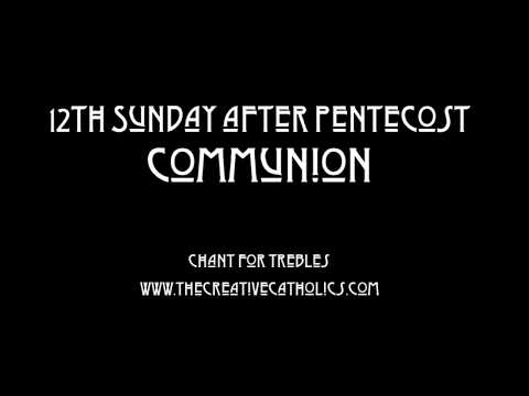 Twelfth Sunday after Pentecost Communion | The Creative Catholics