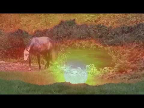 Solnyshko (Lyuba) - Videoclip 2015:  Gypsy Ensemble TABOR and Vocal Ensemble RESONANZ