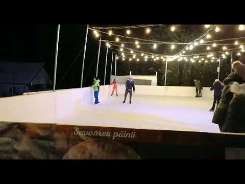 Patinuar Panoramic Colibita