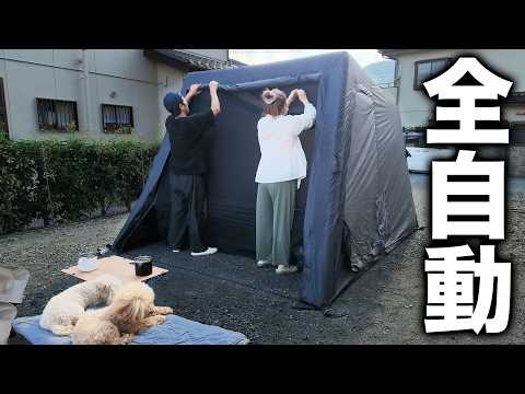 DICE SHELTER 動画
