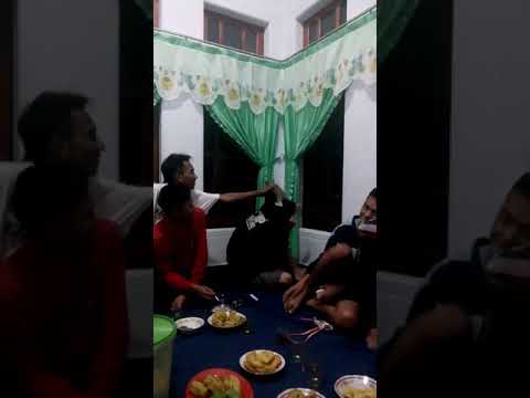 jadi lucu ternyata phobia sama kucing