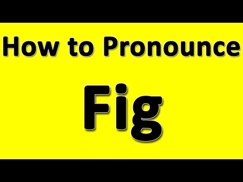 How to Pronounce Fig