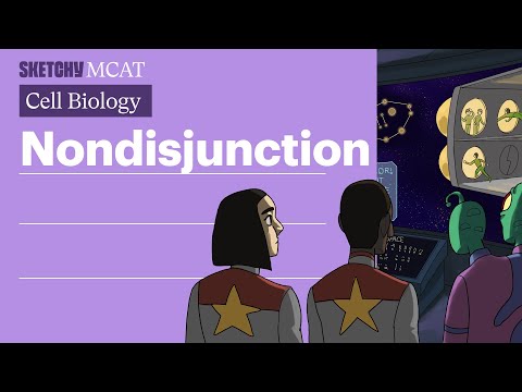 Nondisjunction Lesson: Chromosome Anomalies & Diagnosis (Full Lesson) | Sketchy MCAT