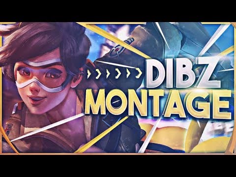 Overwatch Fan-Made Montage by Floh | Feat. DIBZ