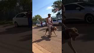 🇿🇦he was about to jump on me so I thought 😂🔥 #travel #africa #southafrica