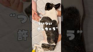 こんな事されてもついつい許しちゃう