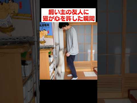 飼い主の友人に猫が心を許した瞬間