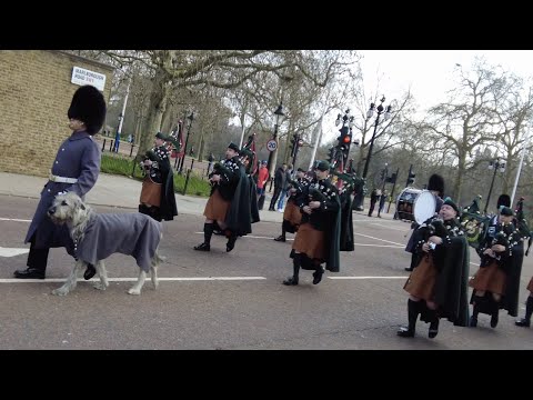 Changing The Guard: London 20/03/22