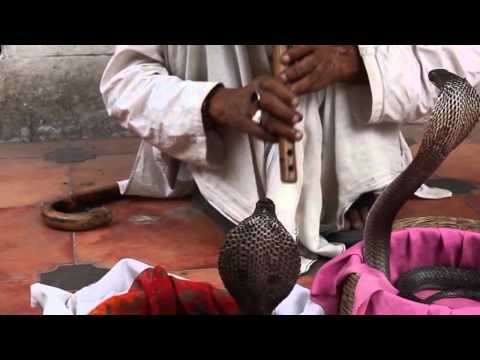 128 Reise zum Dalai Lama