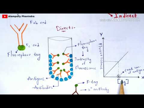 Radial immunodiffusion Immunotechnology Bio science
