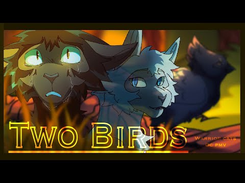 TWO BIRDS|| Warrior Cats| PMV