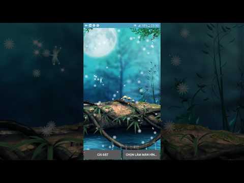 Firefly 3D Live Wallpaper Video