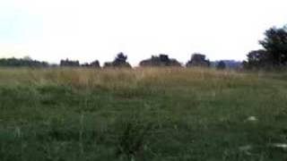 preview picture of video 'runningcity in London, Hampstead Heath2'