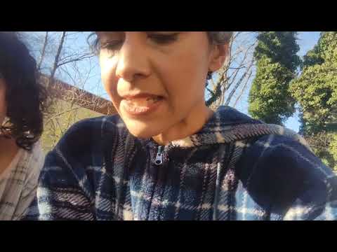 What love is: 1 Corinthians 13 HELP!