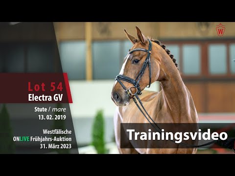ONLIVE Frühjahrs-Auktion Training Lot 54 Electra GV Stute v. Eichendorff - Rosandro