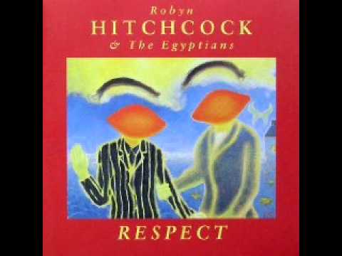 Robyn Hitchcock - The Yip Song