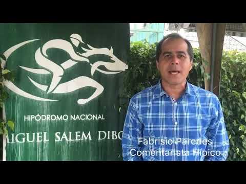 Resumen de la jornada Hipódromo Miguel Salem Dibo 2019-02-24