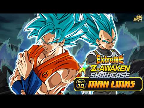 THEY ARE WRONG ONCE AGAIN! AMAZING EZA INT ROF Blue Goku/Vegeta Showcase [Dokkan Battle]