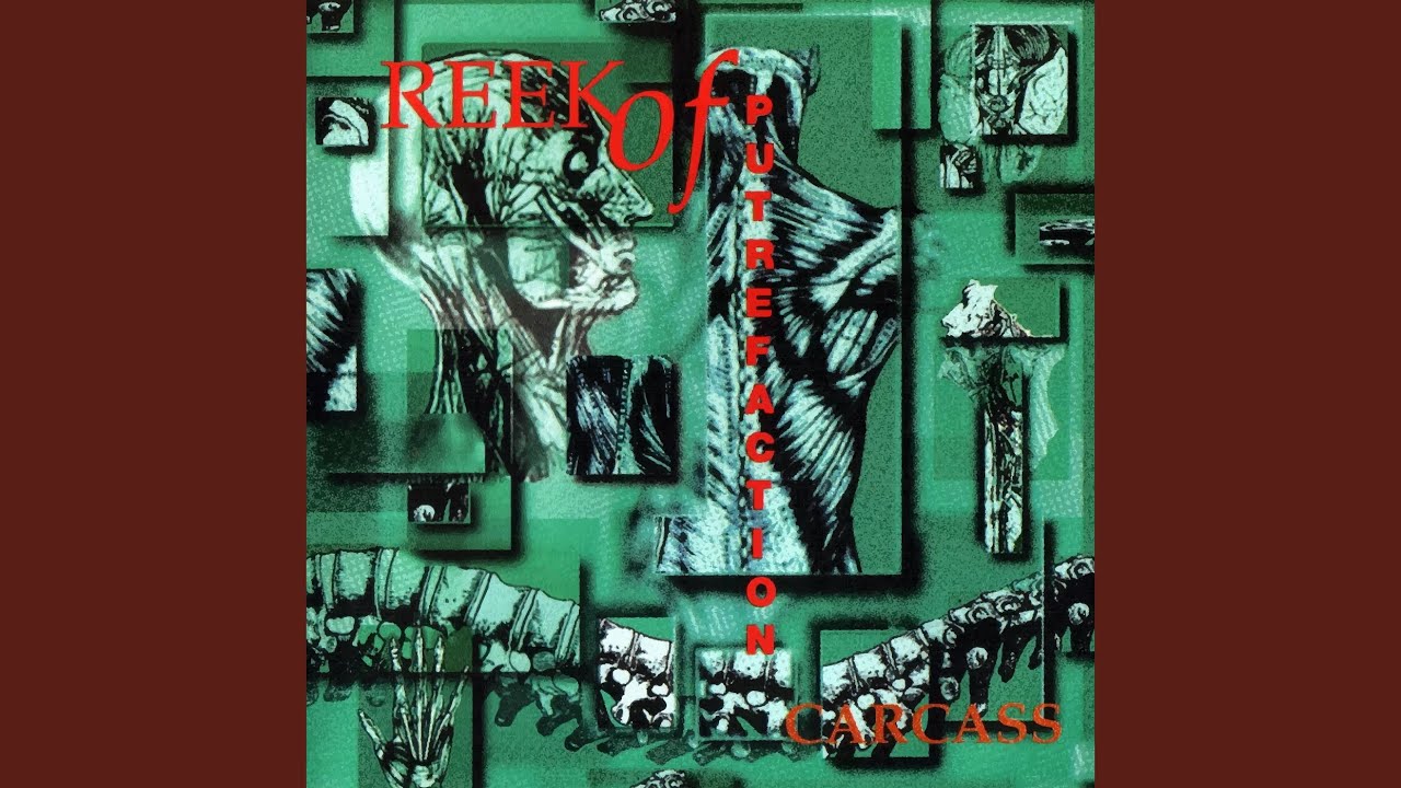 Carcass - Splattered Cavities