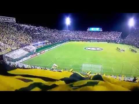 Guarani vs River Plate (1-1) Copa Libertadores 2015 | Tv Publica HD