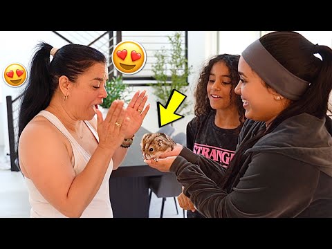 OUR FAMILYS REACTION TO OUR NEW PET!! *Cute reaction*